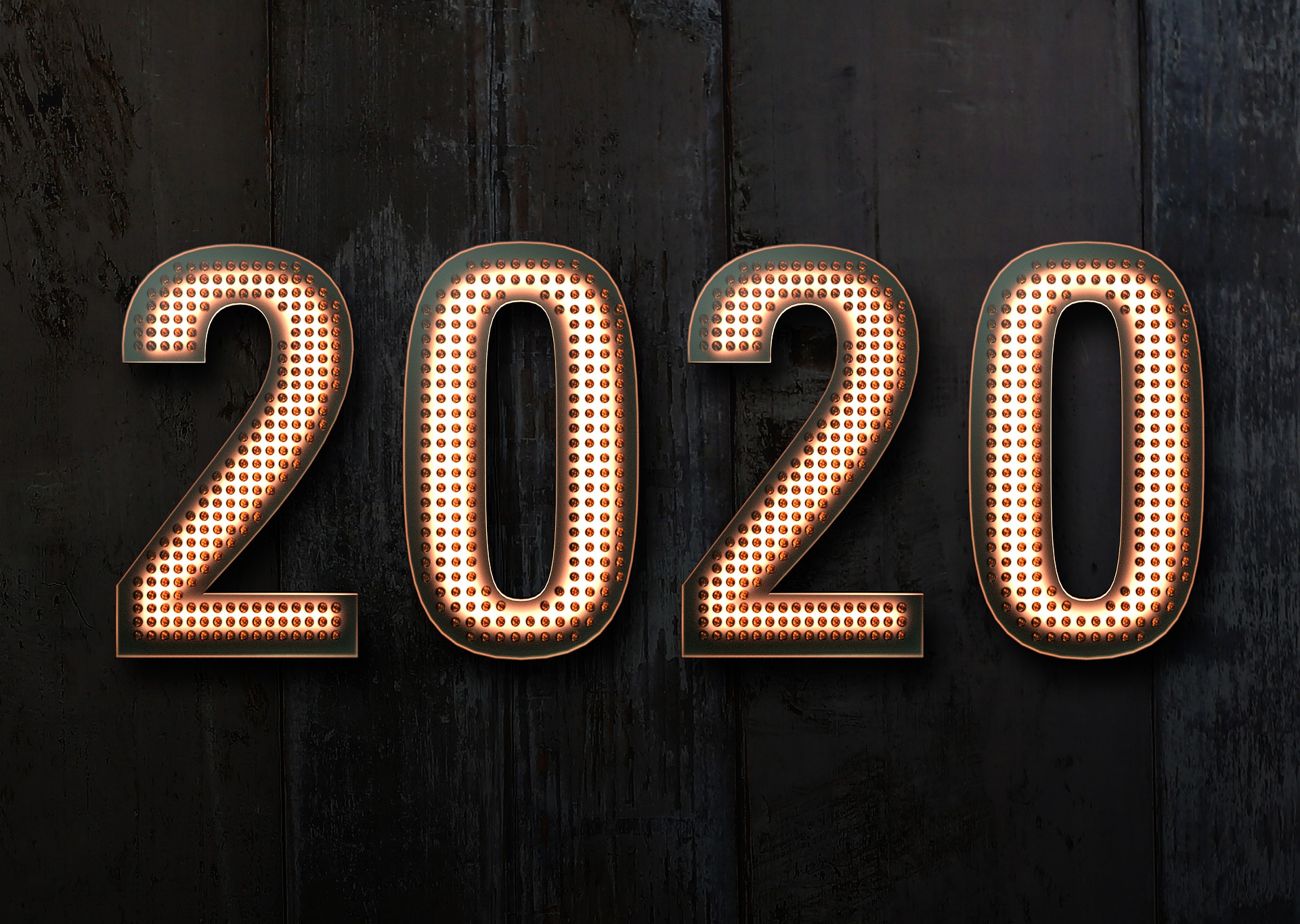 Lire la suite à propos de l’article Bilan de l’année 2020